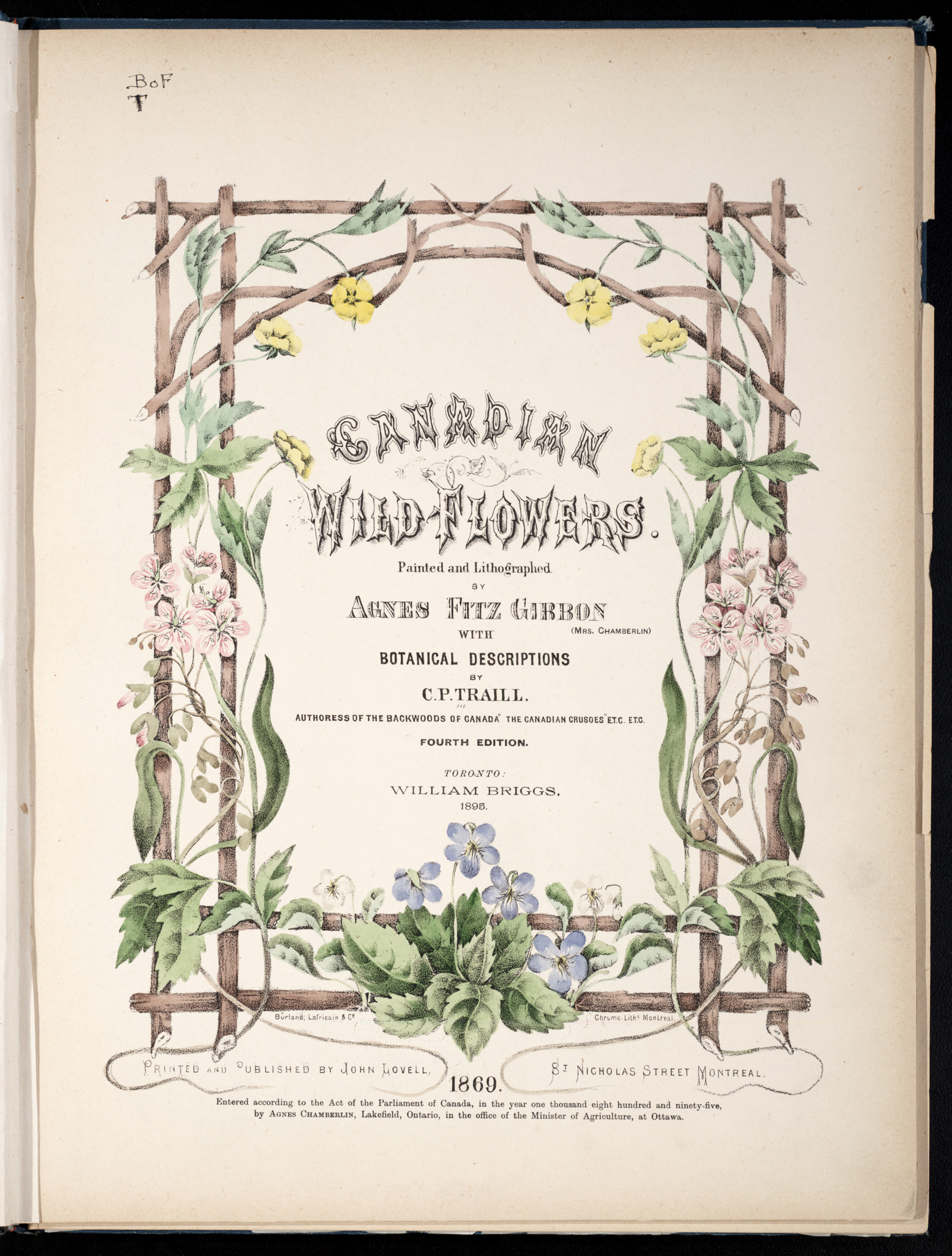 The Story of Canadian Wild Flowers | Digital Collections @ Mac