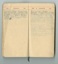 Diary, John Innes Merrylees dated February 19-20, 1917.