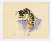 Water colour of a wasp.